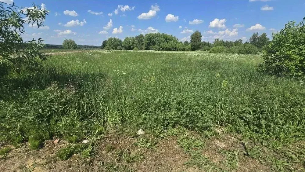 Участок в Московская область, Ступино городской округ, д. Кочкорево  ... - Фото 2