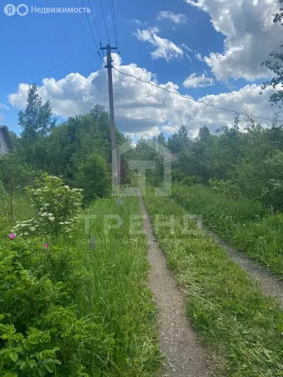 Участок в Кисельнинское сельское поселение, садоводческий массив ... - Фото 0