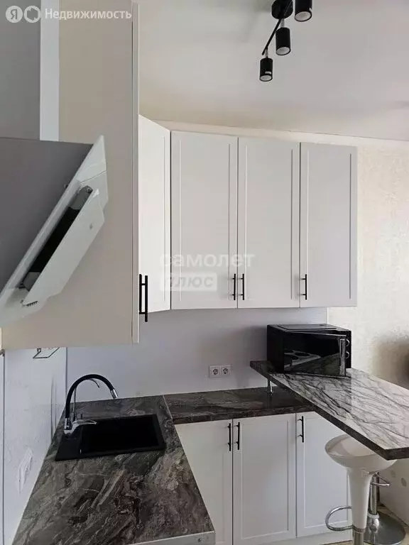 Квартира-студия: деревня Рузино, микрорайон Кутузовский, 2 (23.5 м) - Фото 2