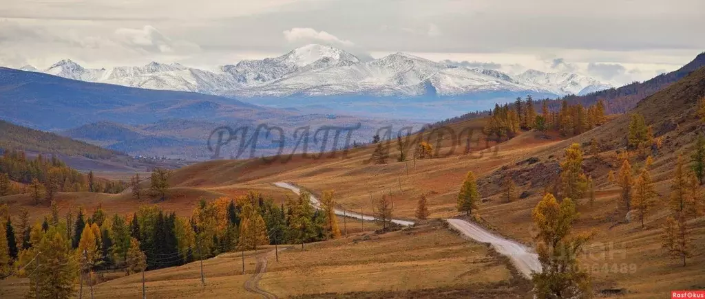 Участок в Алтай, Улаганский район, с. Балыкча Центральная ул. (10.0 ... - Фото 1