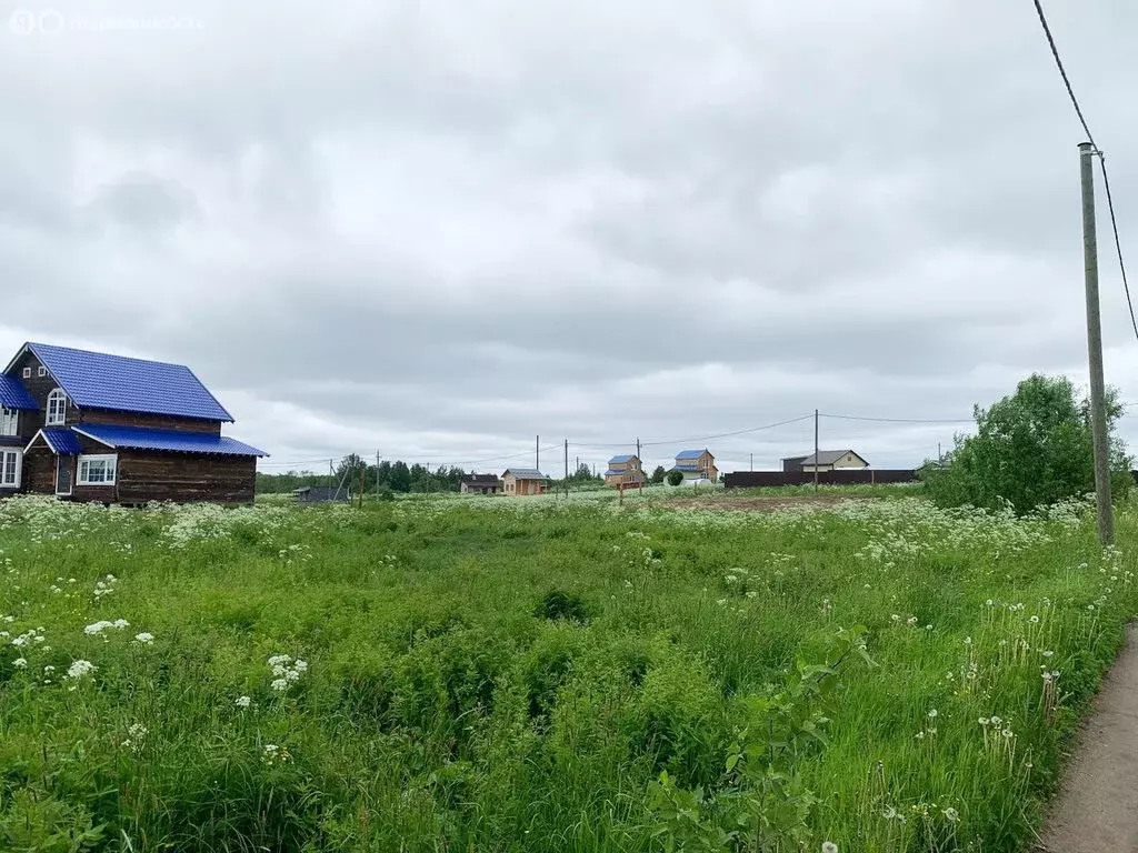 Участок в Архангельская область, Приморский муниципальный округ, СНТ ... - Фото 1