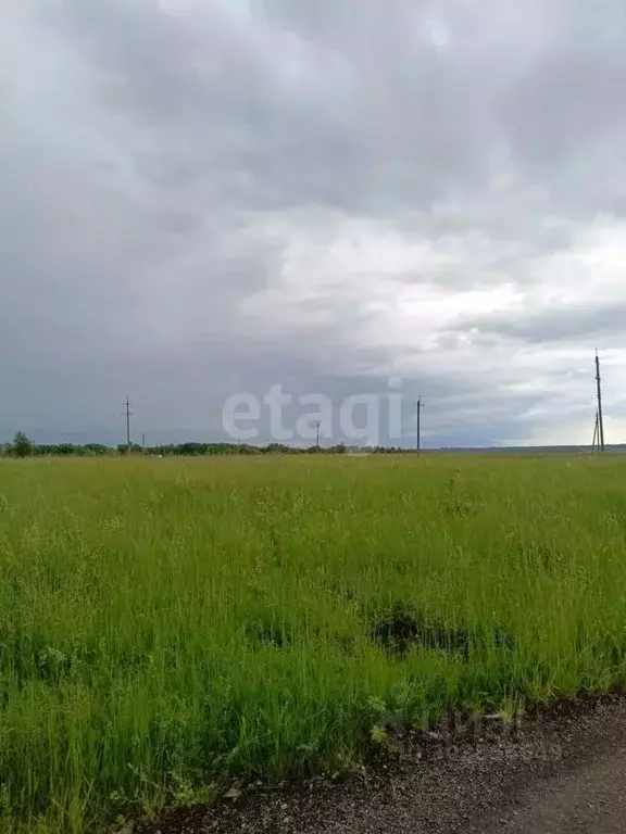 Участок в Тульская область, Киреевский район, Бородинское ... - Фото 1