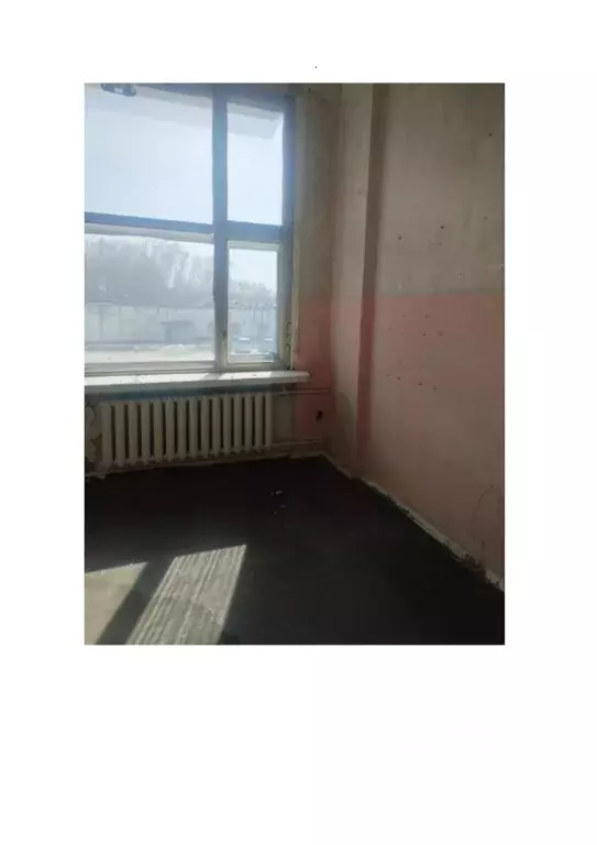 Помещение свободного назначения в Новосибирская область, Новосибирский ... - Фото 0