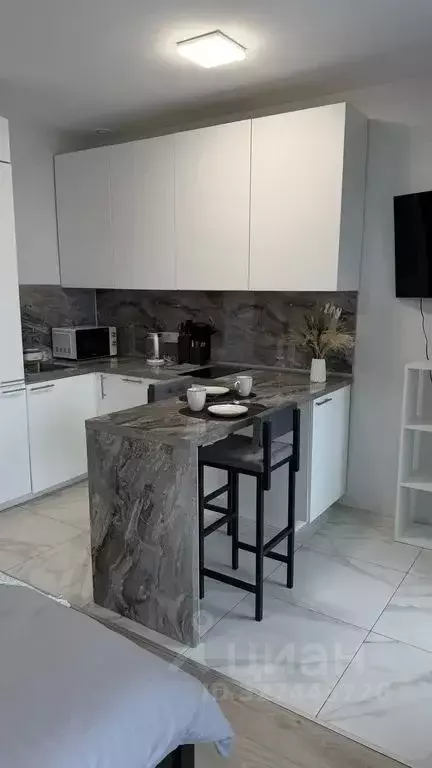 Студия Москва Дмитровский проезд, 1 (30.0 м) - Фото 1