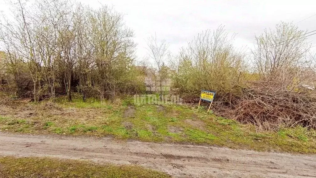 Участок в Воронежская область, Воронеж Вега-88 СНТ, ул. 19-я (6.0 ... - Фото 1