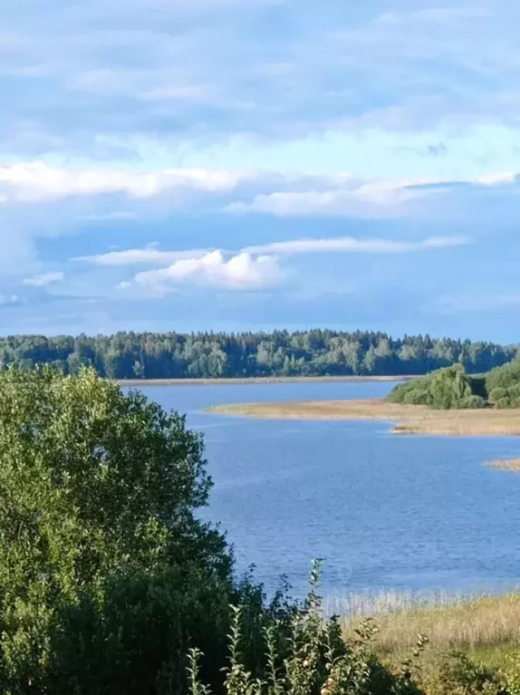 Участок в Тверская область, Осташковский муниципальный округ, д. ... - Фото 0