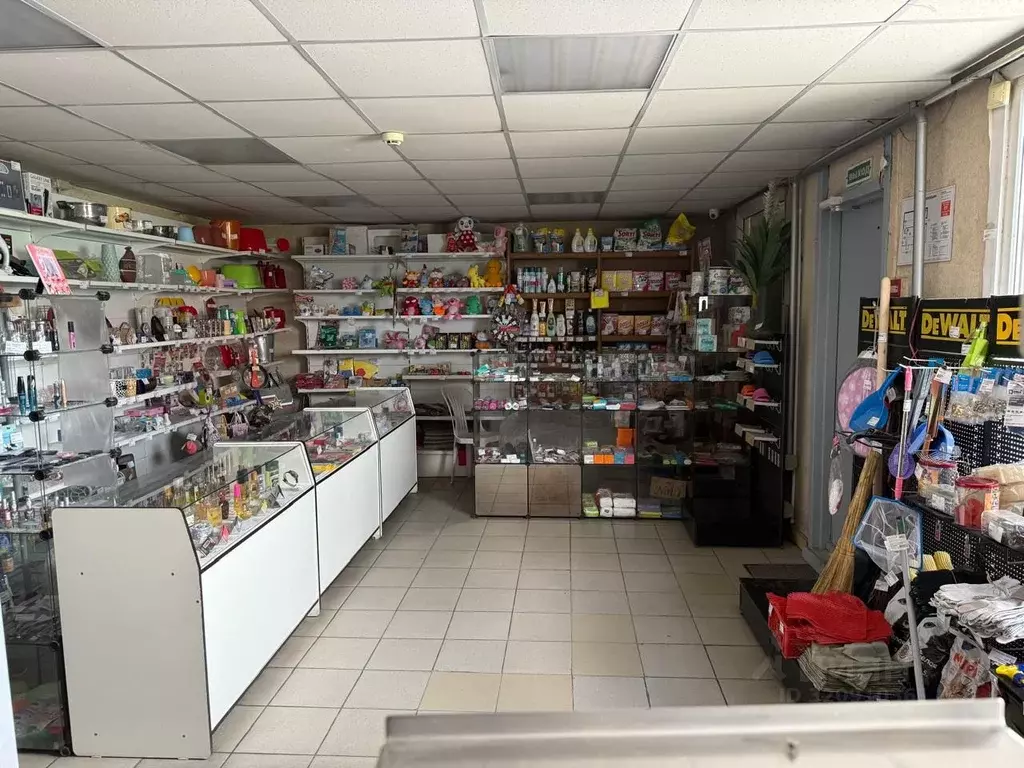 Торговая площадь в Новосибирская область, с. Новолуговое Инская ул., ... - Фото 1