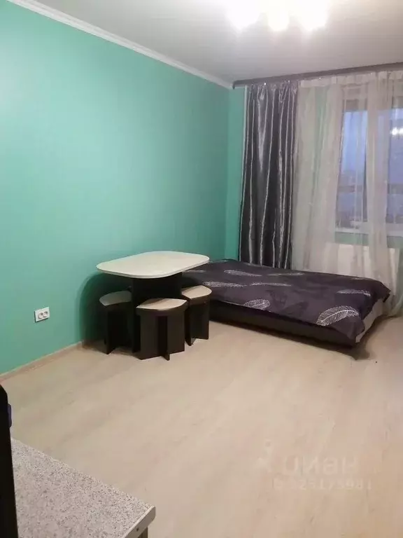 Студия Санкт-Петербург пос. Парголово, ул. Михаила Дудина, 10 (26.0 м) - Фото 2