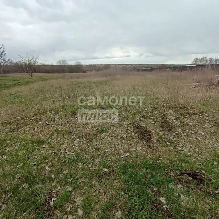 Участок в Курская область, Курский район, Брежневский сельсовет, с. ... - Фото 0