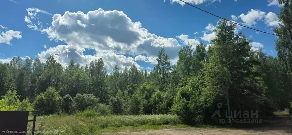 Участок в Новгородская область, Окуловка ул. Герцена (15.0 сот.) - Фото 1
