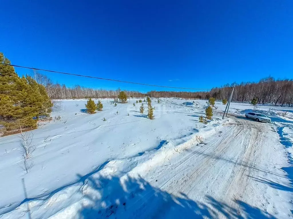 Участок в Тюменская область, Нижнетавдинский район, Сундукуль СНТ  ... - Фото 0