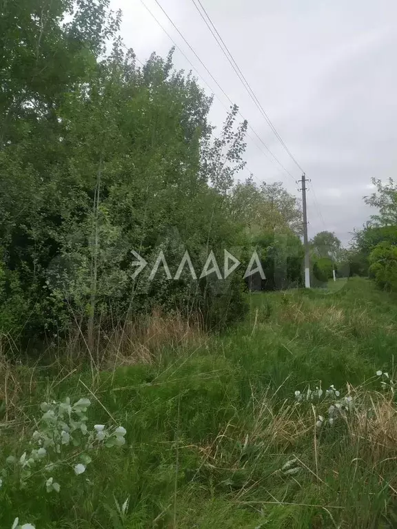 Участок 60 сот. (ИЖС) - Фото 0