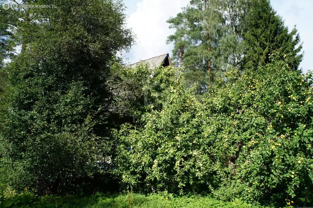 Участок в городской посёлок Вырица, Казанская улица, 8 (23.12 м) - Фото 1