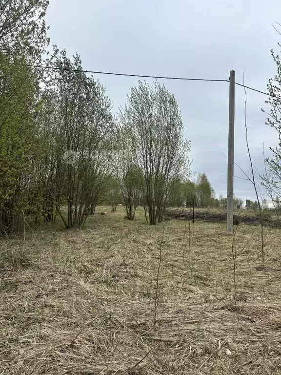 Участок в Чувашия, Чебоксарский муниципальный округ, д. Янашкасы ул. ... - Фото 1