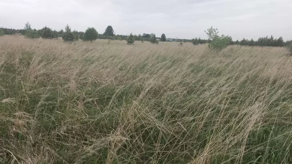 Участок в Московская область, Орехово-Зуевский городской округ, д. ... - Фото 1