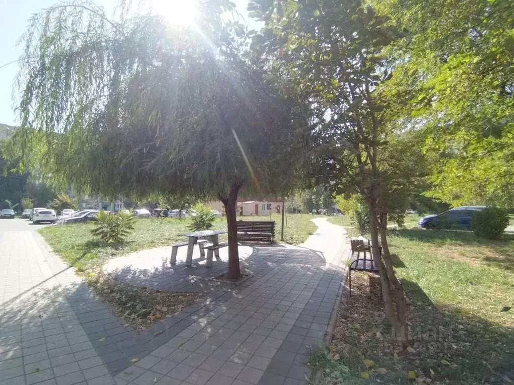 1-к кв. Тамбовская область, Тамбов ул. Рылеева, 98 (37.9 м) - Фото 1