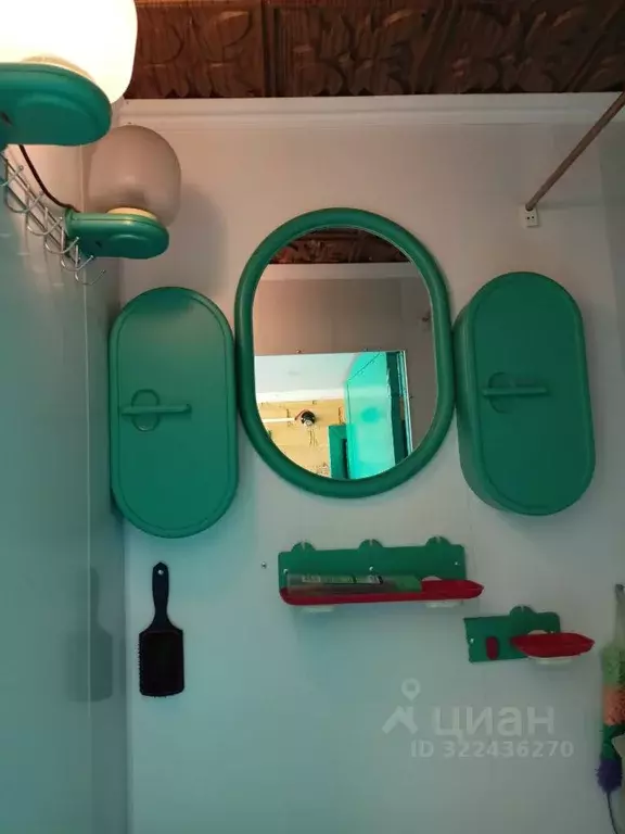 Дом в Брянская область, Жуковский муниципальный округ, Сосновый Бор ... - Фото 1