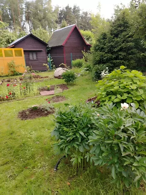 Участок в Московская область, Королев Энергия-2 СНТ, ул. Пионерская ... - Фото 2