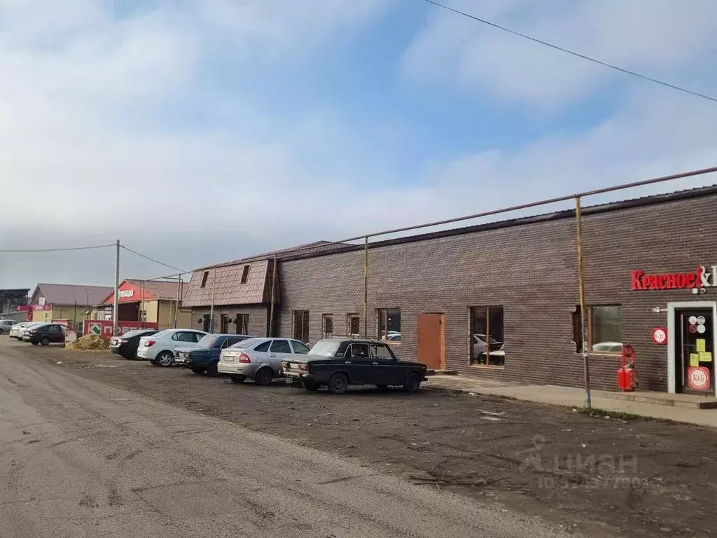 Помещение свободного назначения в Курская область, Советский район, ... - Фото 1