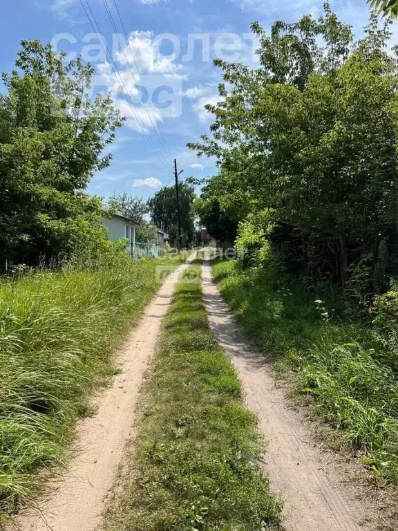 Дом в Рязанская область, Шиловское городское поселение, с. Борок ул. ... - Фото 1