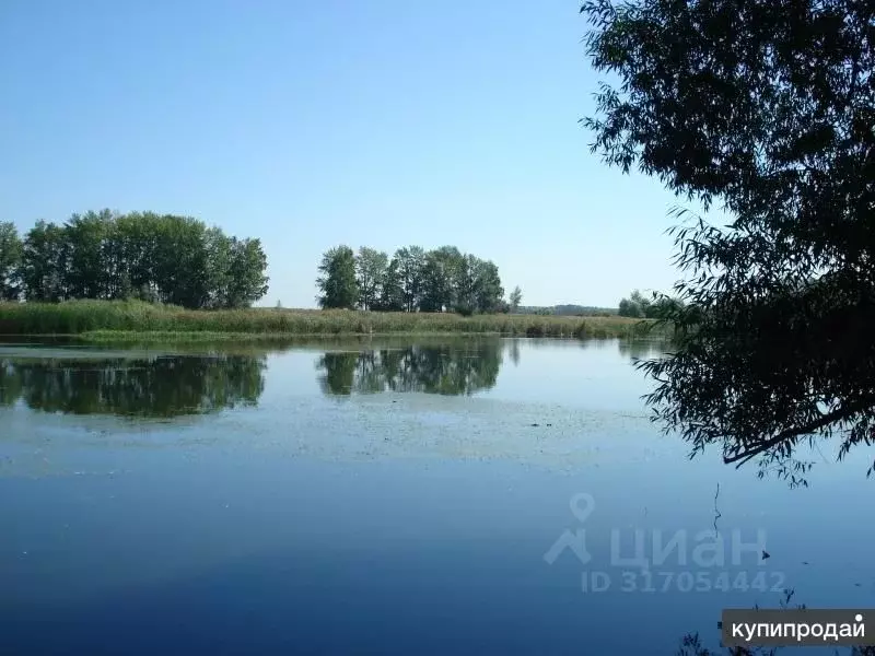 Участок в Самарская область, Ставропольский район, Нижнее Санчелеево ... - Фото 1