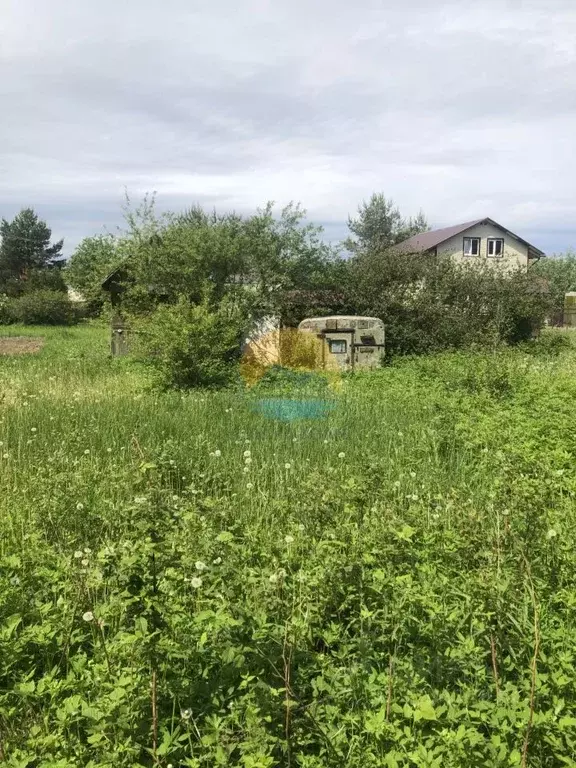 Участок в Тверская область, Конаковский муниципальный округ, Майский ... - Фото 1