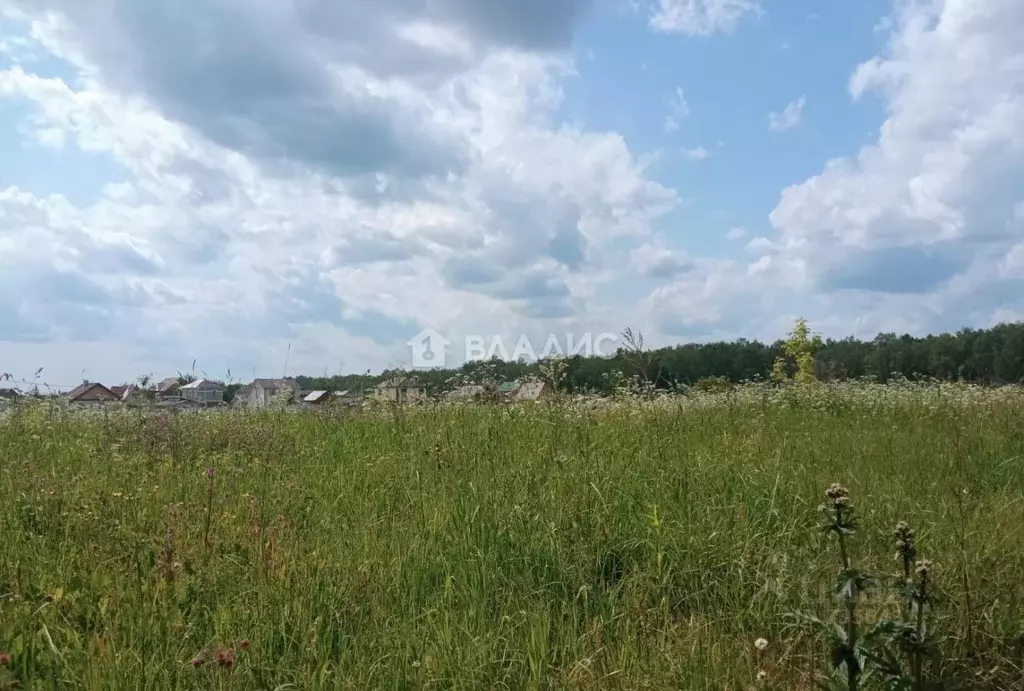 Гривно чепелево. Деревня Чепелево. Чепелёво (Московская область). Чепелево.