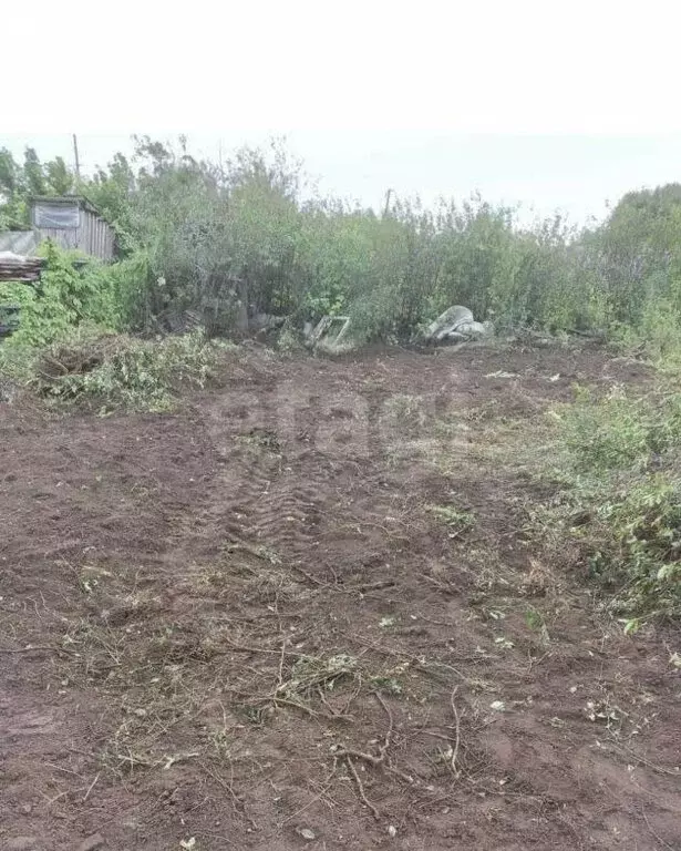 Участок в Нежинский сельсовет, СНТ Успех, улица 9-я Линия (5 м) - Фото 1