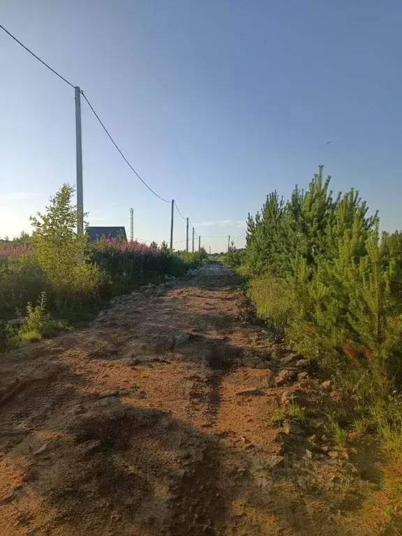 Участок в Свердловская область, Белоярский муниципальный округ  (10.0 ... - Фото 2