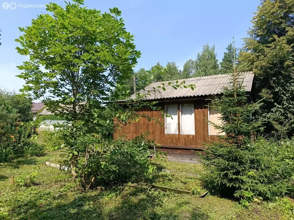 Дом в Богородский городской округ, СНТ Лотос, 113 (19.2 м) - Фото 2