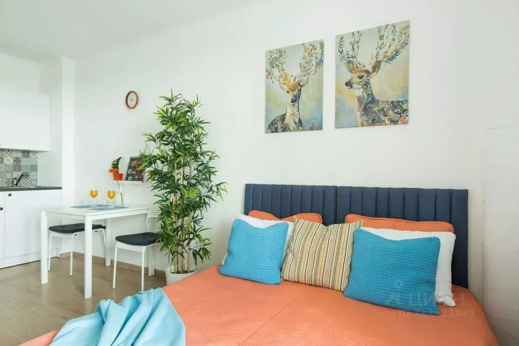 Студия Санкт-Петербург просп. Энергетиков, 9к6 (30.0 м) - Фото 1