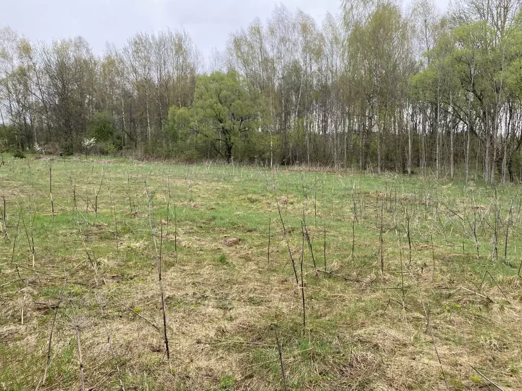 Участок в Московская область, Истра муниципальный округ, д. Родионцево ... - Фото 2