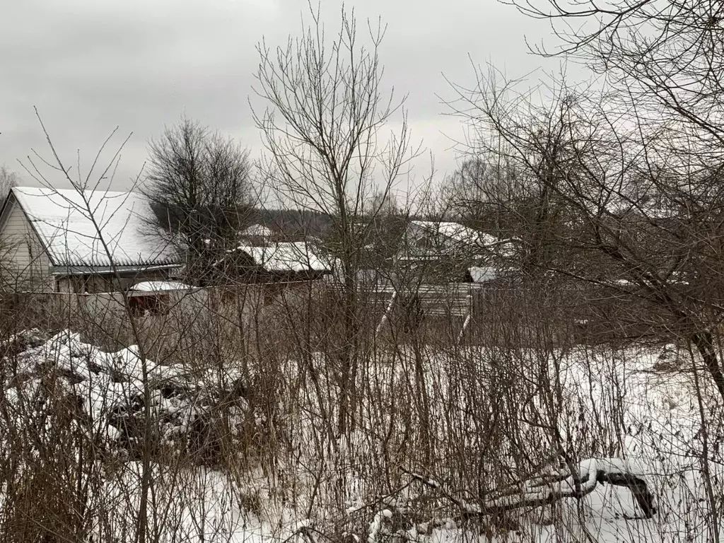 Участок в Московская область, Истра муниципальный округ, д. Талицы  ... - Фото 1