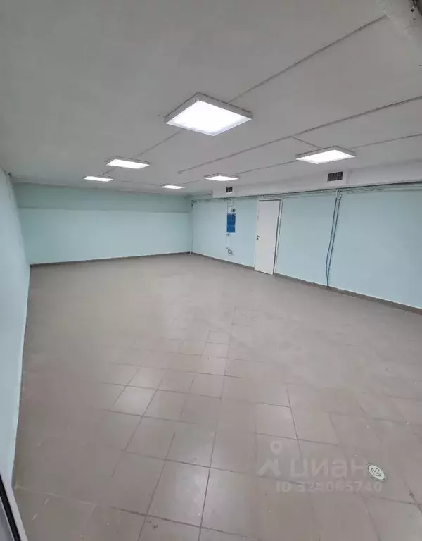 Помещение свободного назначения в Санкт-Петербург, Санкт-Петербург, ... - Фото 1