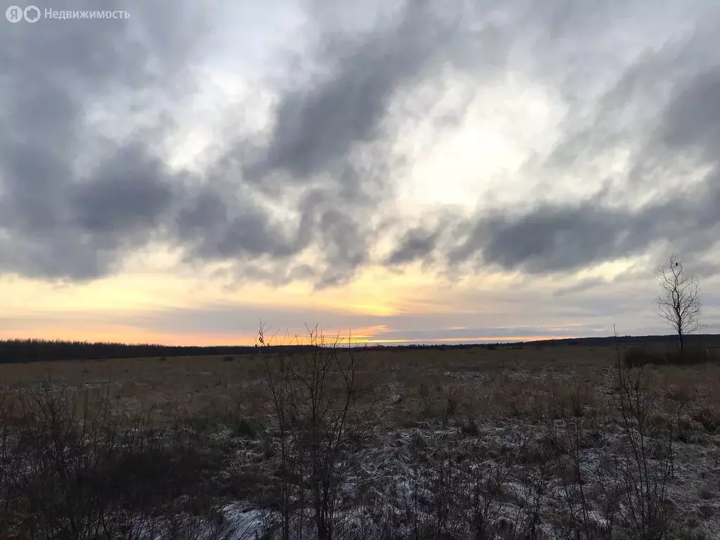 Участок в Новгородская область, Шимское городское поселение, деревня ... - Фото 1