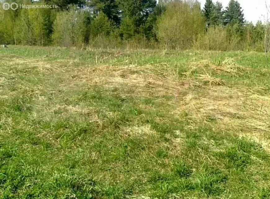 Участок в Волосовский район, деревня Большая Вруда (12 м) - Фото 1