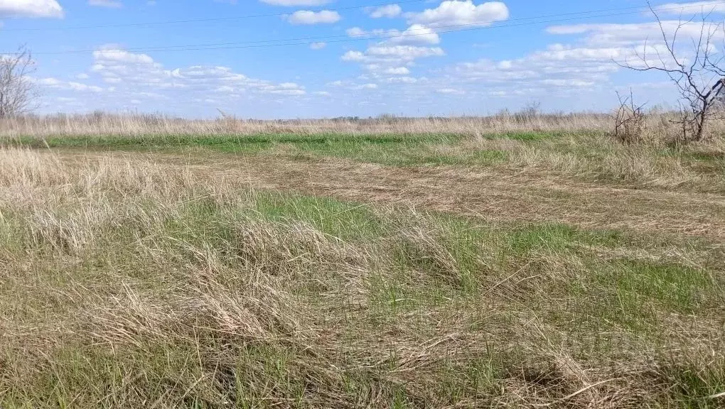 Участок в Самарская область, Ставропольский район, Верхние Белозерки ... - Фото 2