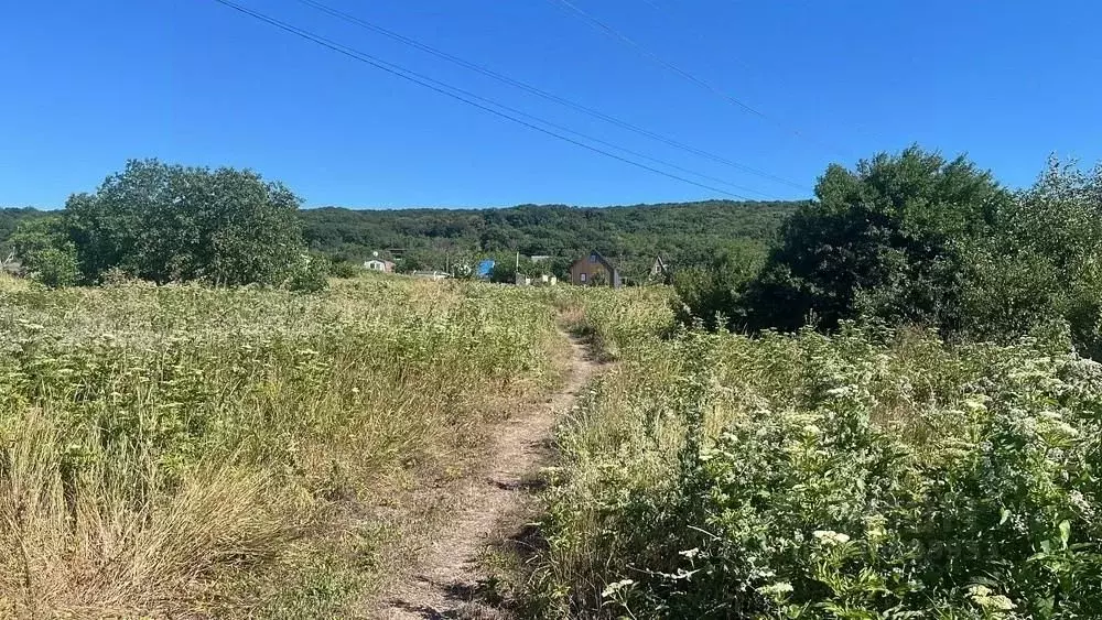 Участок в Краснодарский край, Анапа муниципальный округ, Куток хут.  ... - Фото 1