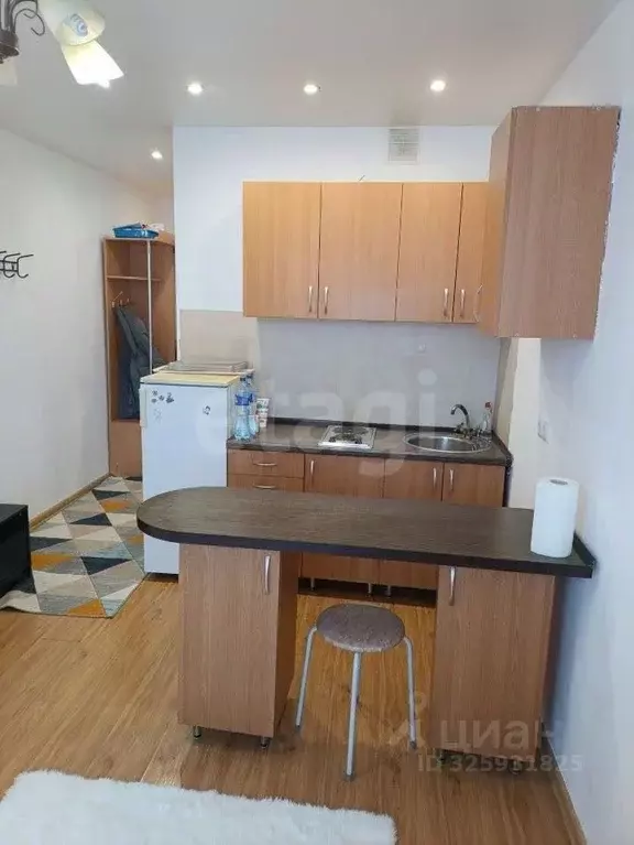 Студия Новосибирская область, Новосибирск ул. Виктора Уса, 7 (19.0 м) - Фото 2