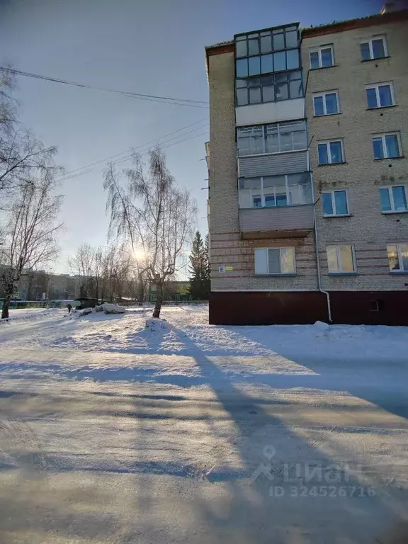 1-к кв. Новосибирская область, Искитим Почтовая ул., 10 (28.0 м) - Фото 2