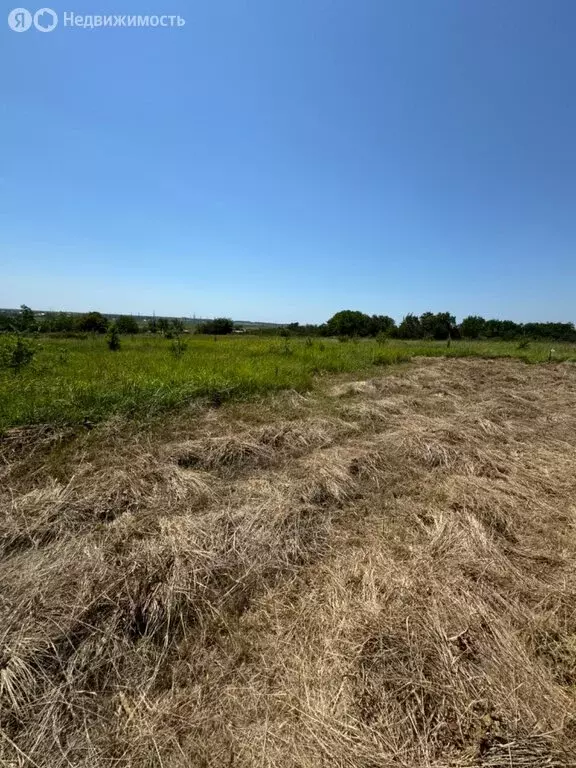 Участок в посёлок Виноградный, Красная улица (10 м) - Фото 0