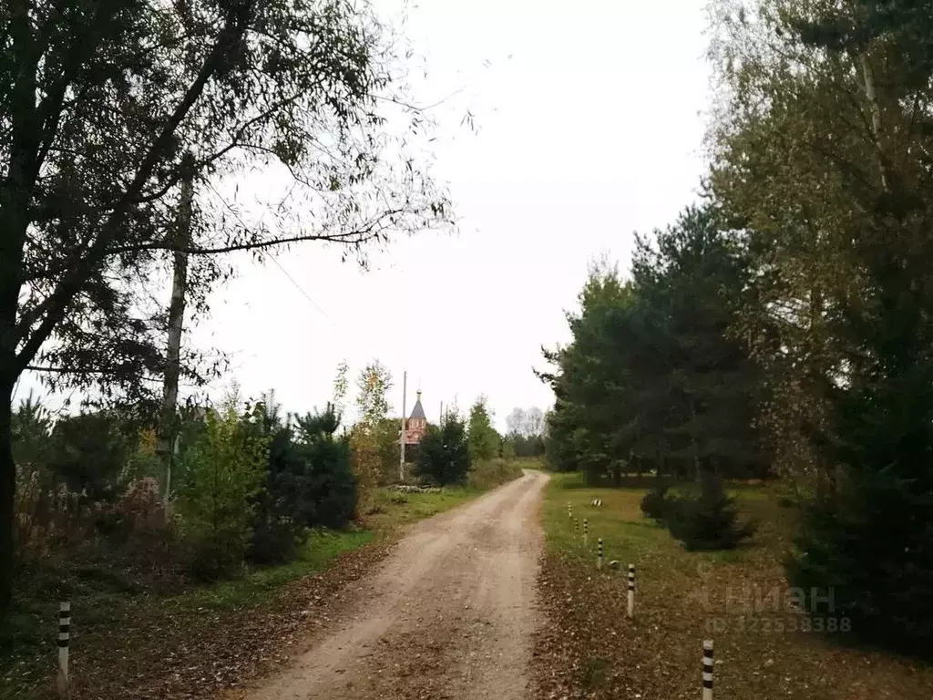 Участок в Калужская область, Дзержинский муниципальный округ, Дворцы ... - Фото 0