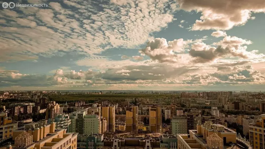 2-комнатная квартира: Санкт-Петербург, проспект Просвещения, 43 (56 м) - Фото 2