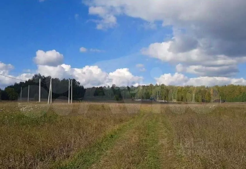 Участок в Пермский край, Краснокамский муниципальный округ, пос. ... - Фото 2