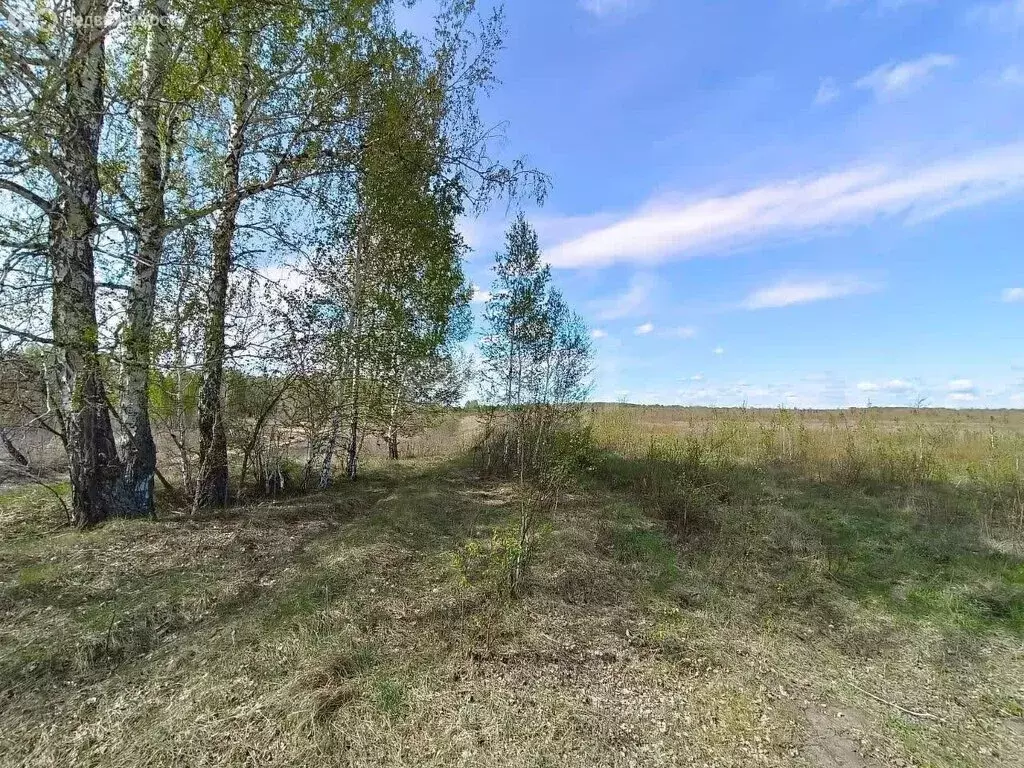 Участок в Свердловская область, Тавда (11 м) - Фото 2