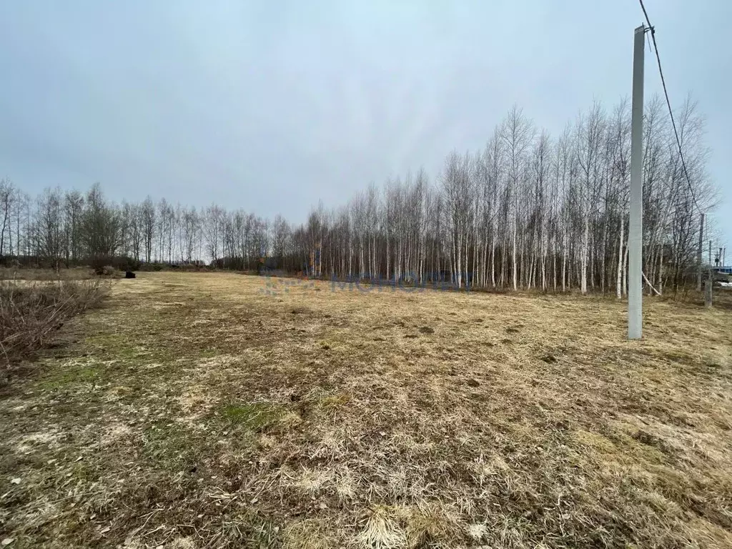 Участок в Нижегородская область, Городецкий муниципальный округ, с. ... - Фото 1