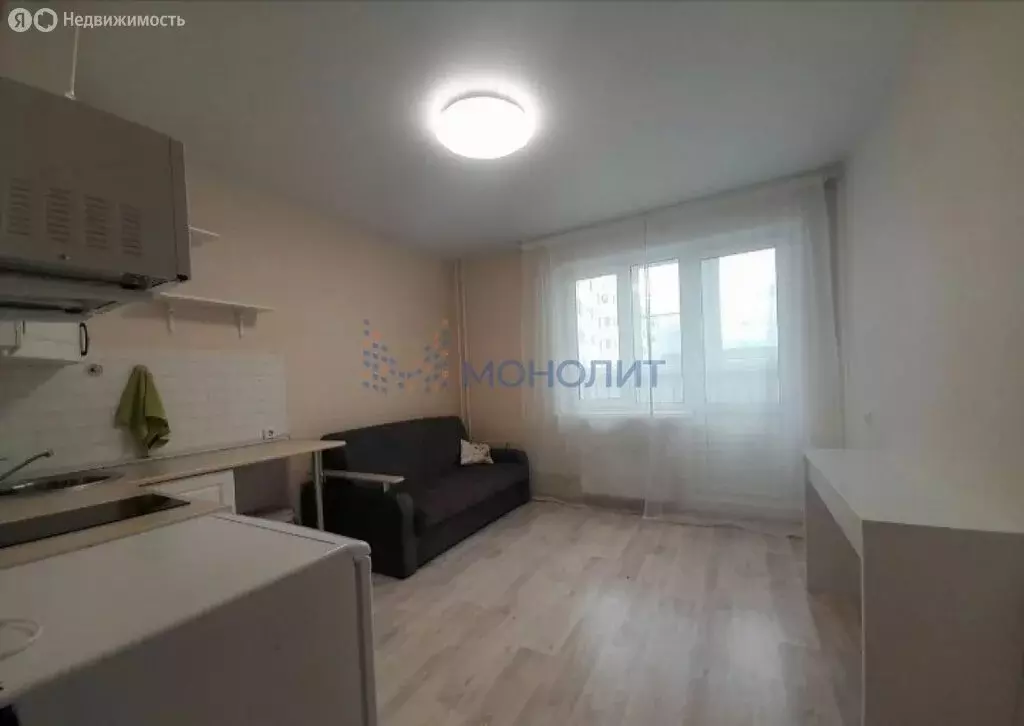 Квартира-студия: Нижний Новгород, улица Бориса Видяева, 19 (18.1 м) - Фото 1