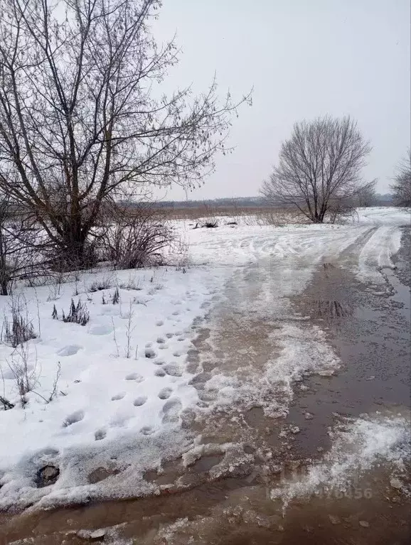 Участок в Воронежская область, Воронеж ул. Кемеровская (8.0 сот.) - Фото 2