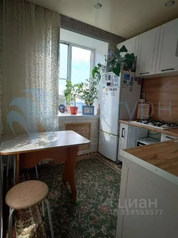 2-к кв. Курганская область, Курган ул. Красина, 61 (42.8 м) - Фото 1