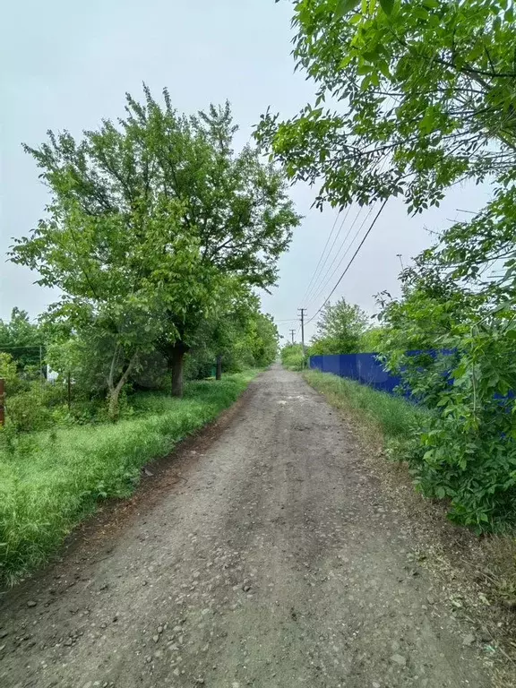 Участок 7,3 сот. (СНТ, ДНП) - Фото 1